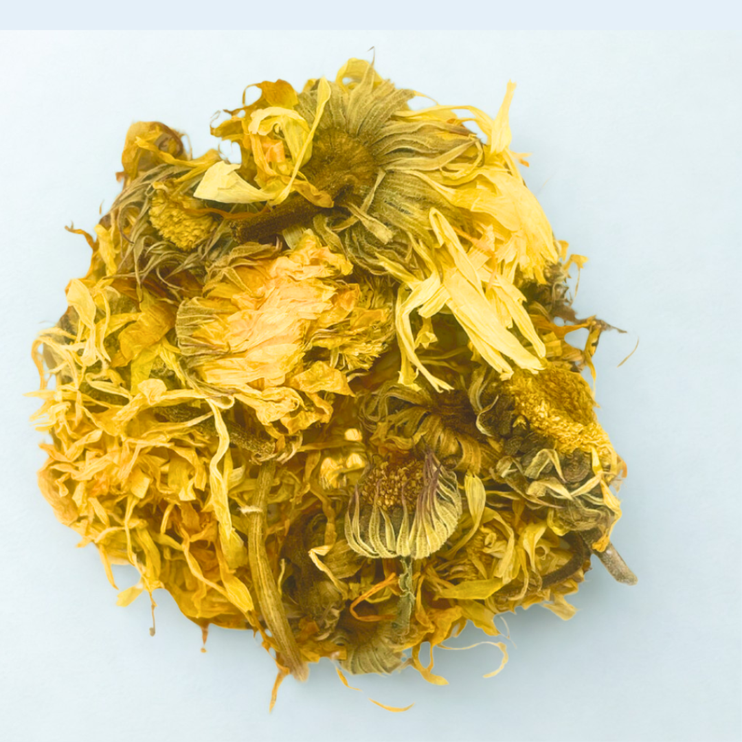 Calendula Flower