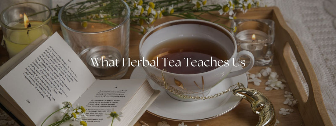 What Herbal Tea Teaches Us About Patience in a Fast-Paced World
