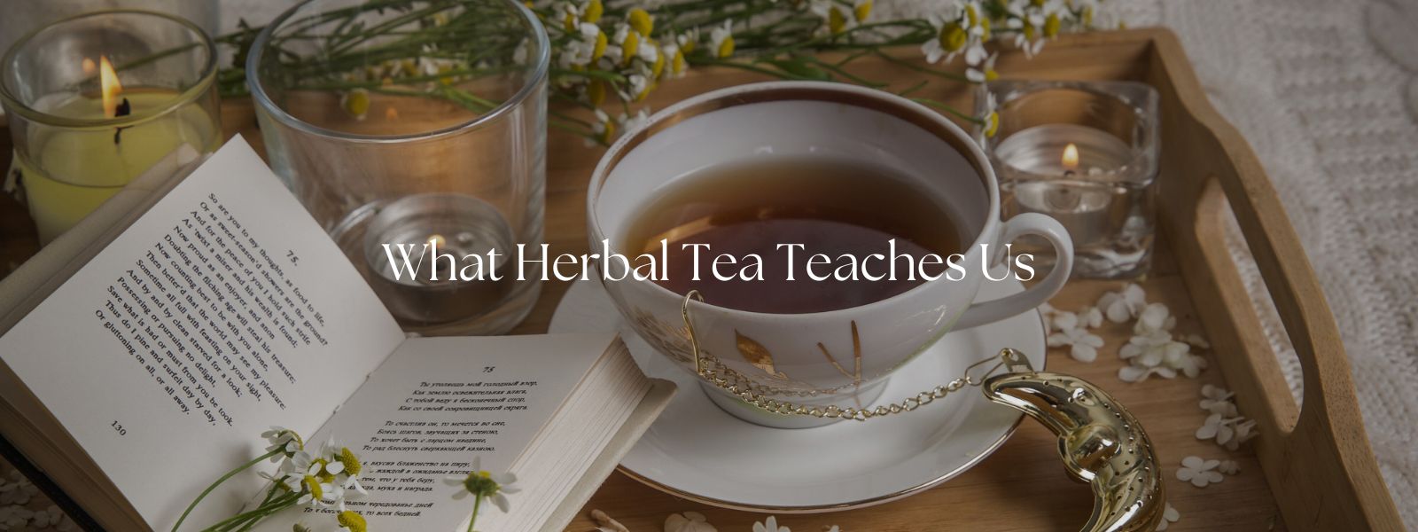 What Herbal Tea Teaches Us About Patience in a Fast-Paced World