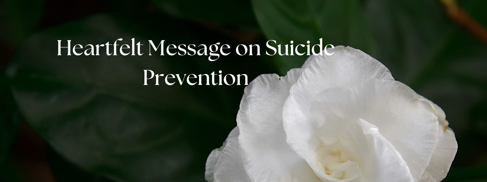 Holding On to Hope, My Heartfelt Message on Suicide Prevention
