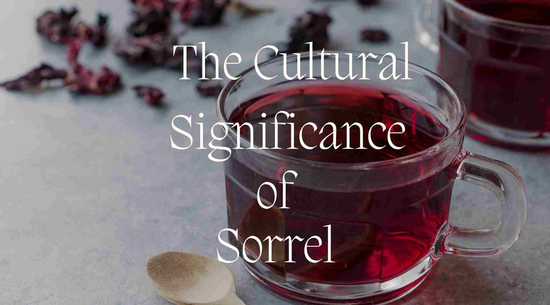 The Cultural Significance of Hibiscus Flowers and Sorrel in Caribbean Traditions