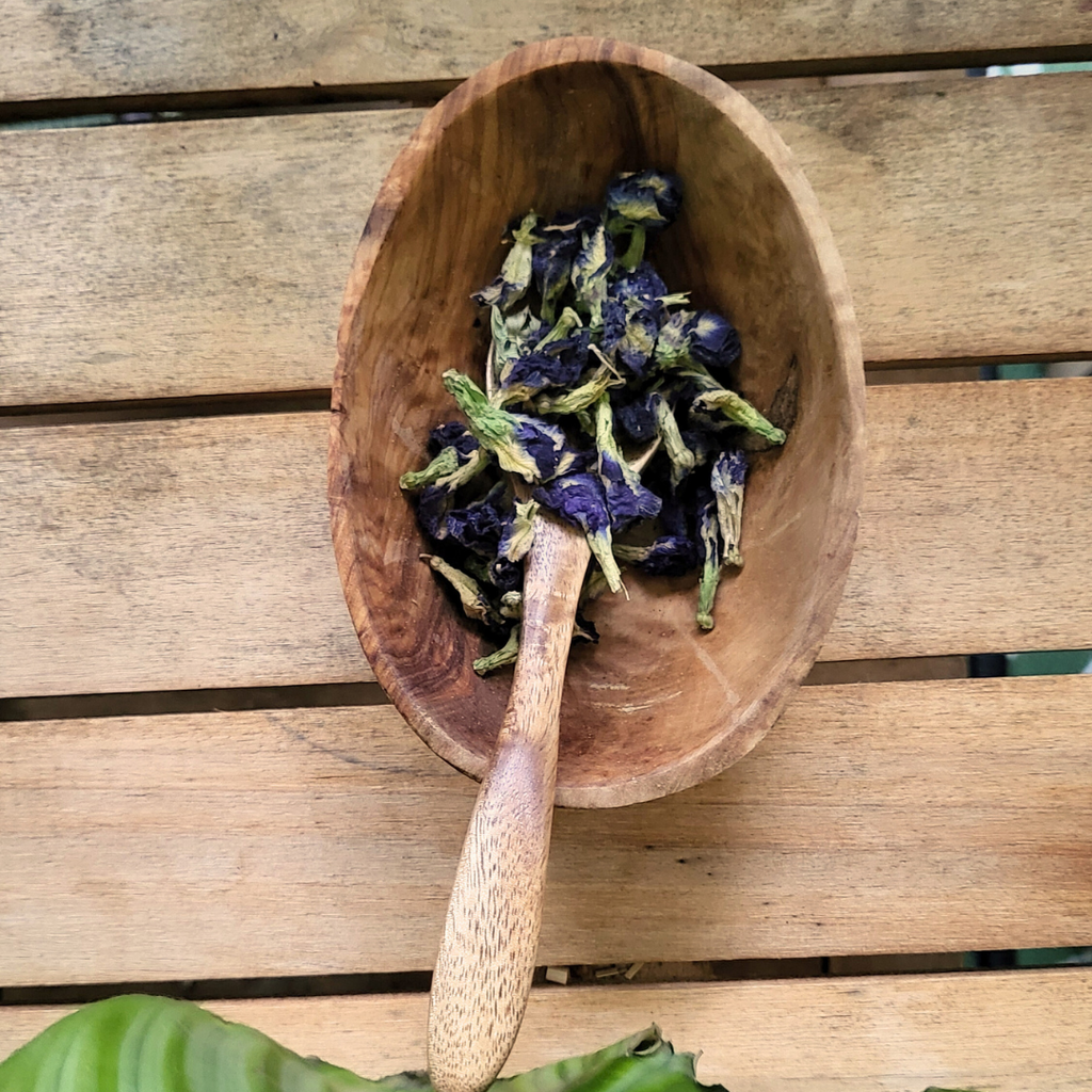 Butterfly Pea Flower
