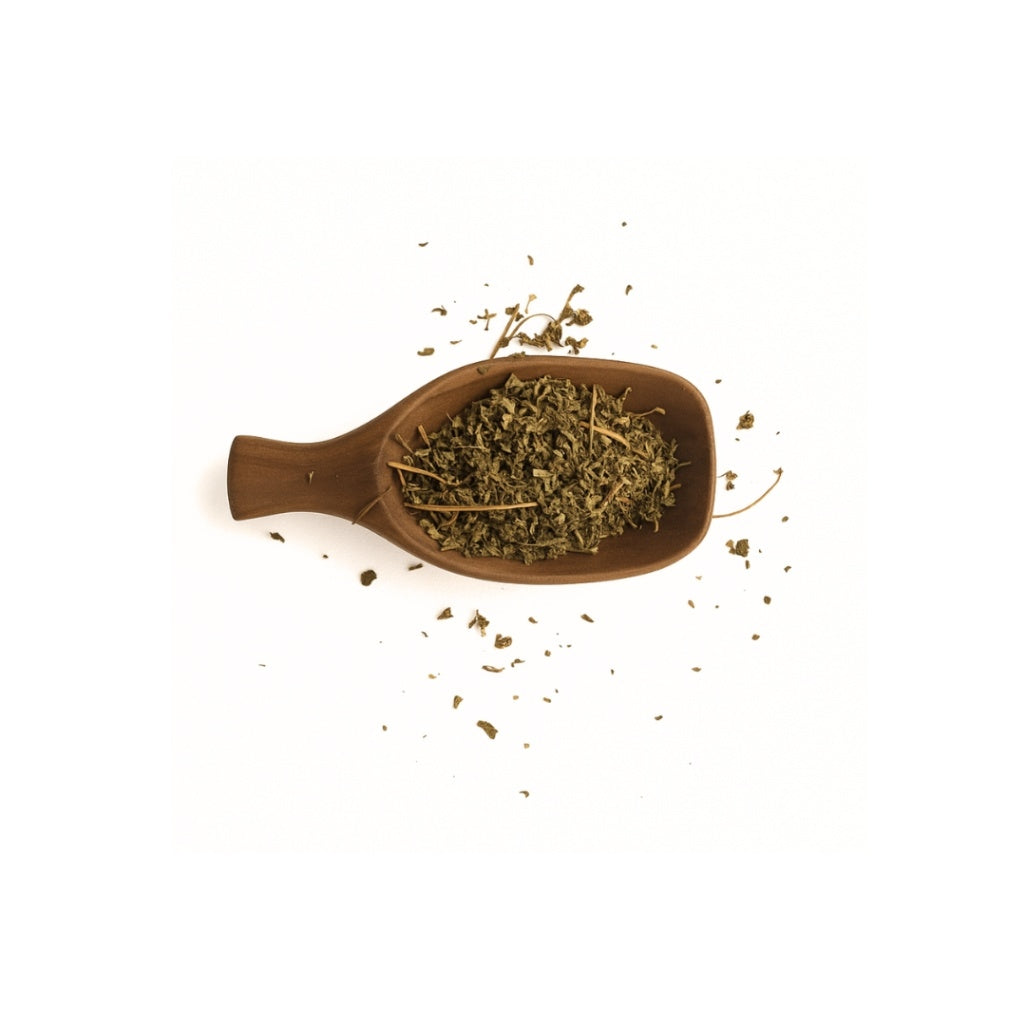 Wooden scoop filled with dried herbs on a white background