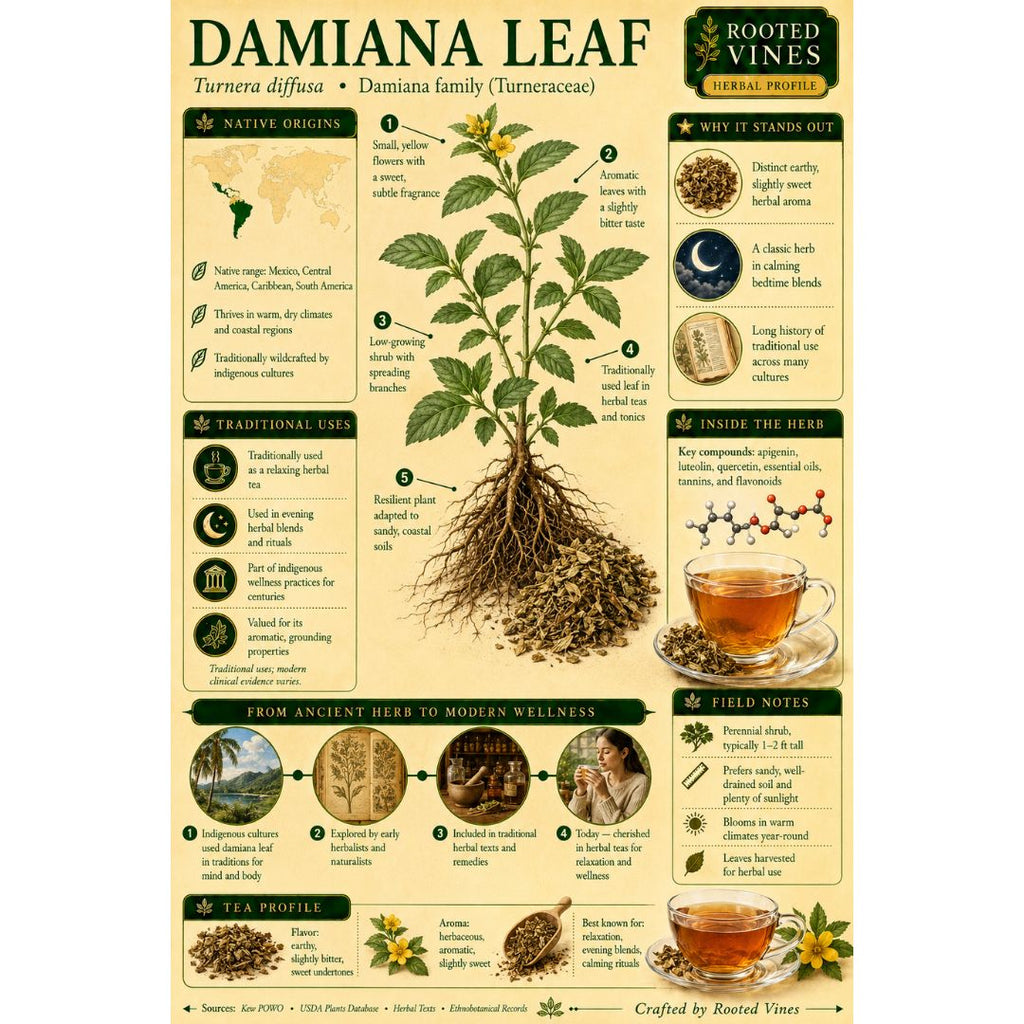 Damiana Leaf Tea | Organic Herbal Loose Leaf | Rooted Vines
