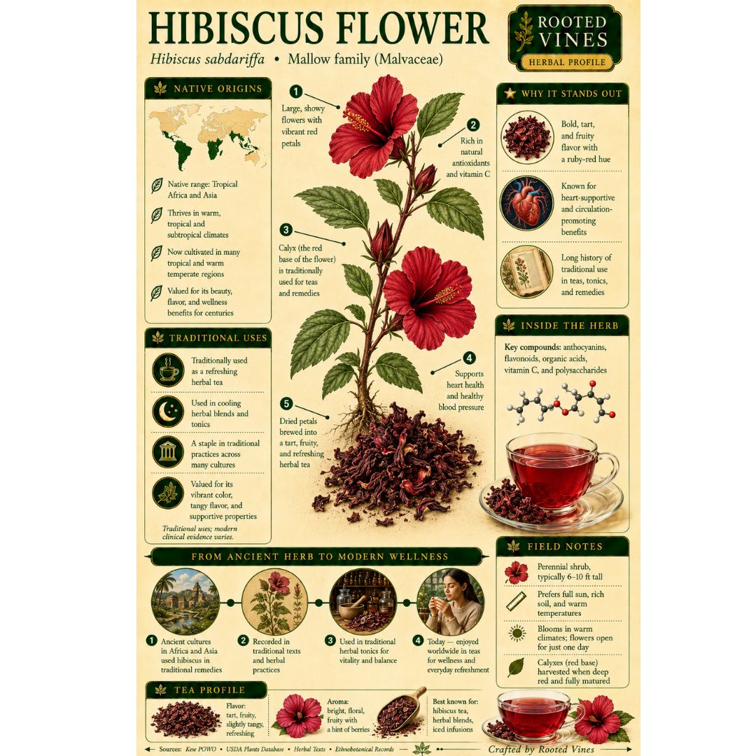 Hibiscus Flower Tea | Organic Herbal Loose Leaf | Rooted Vines