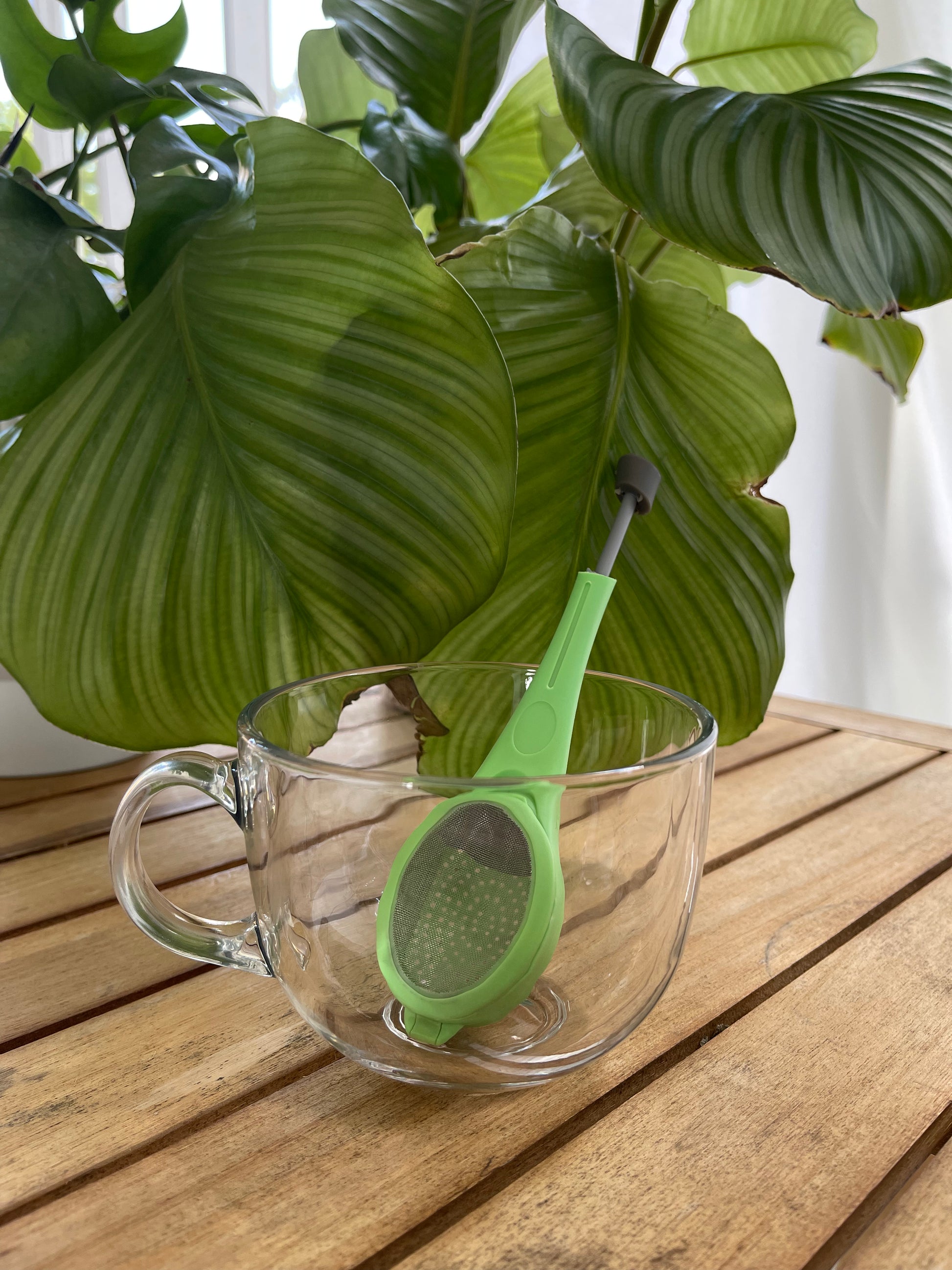 Verdant Press Tea Infuser Your Flavor Press