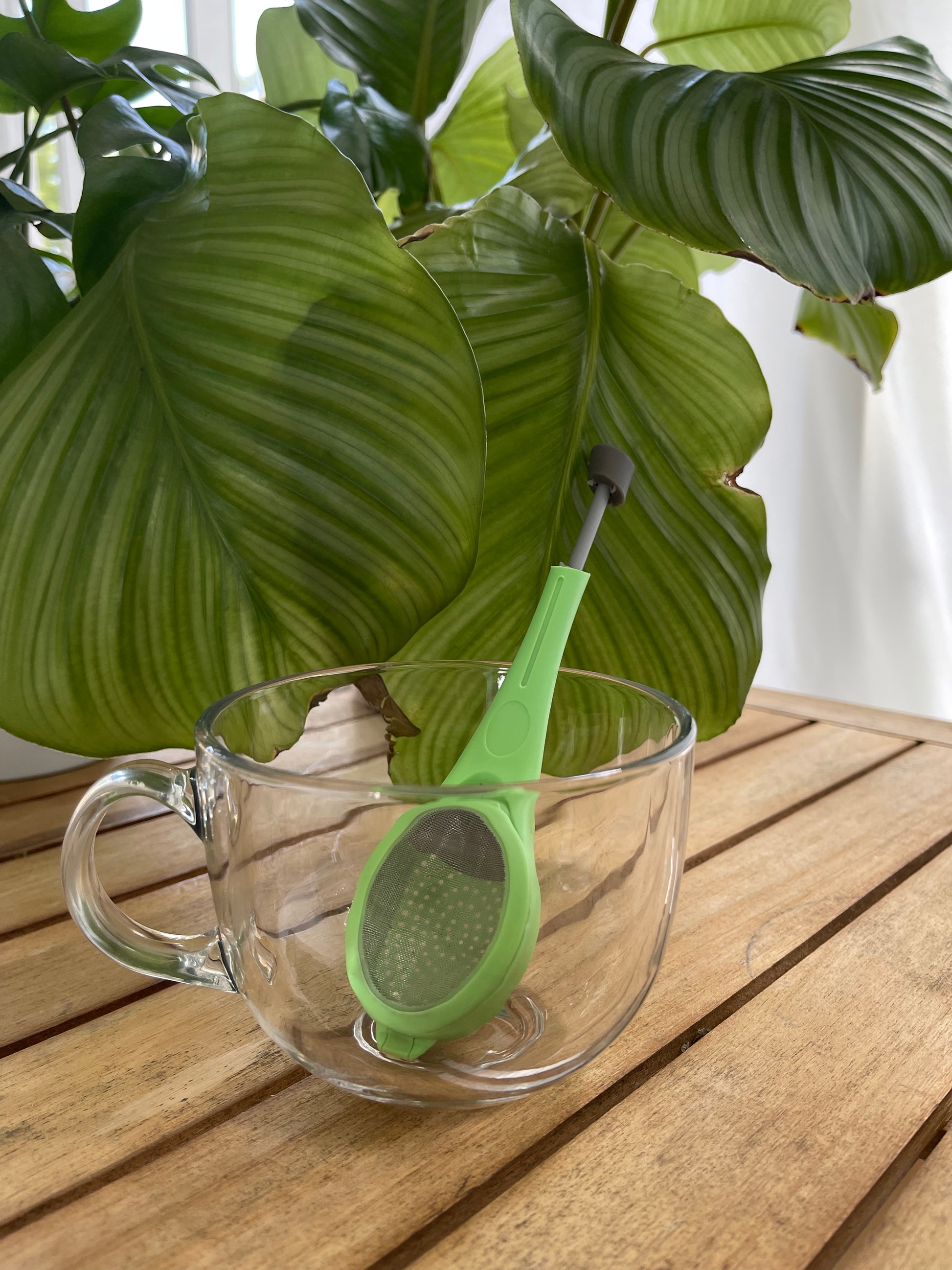 Verdant Press Tea Infuser Your Flavor Press