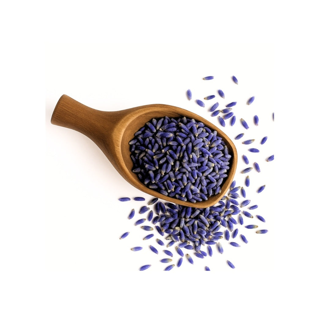 Wooden spoon filled with lavender buds on a white background