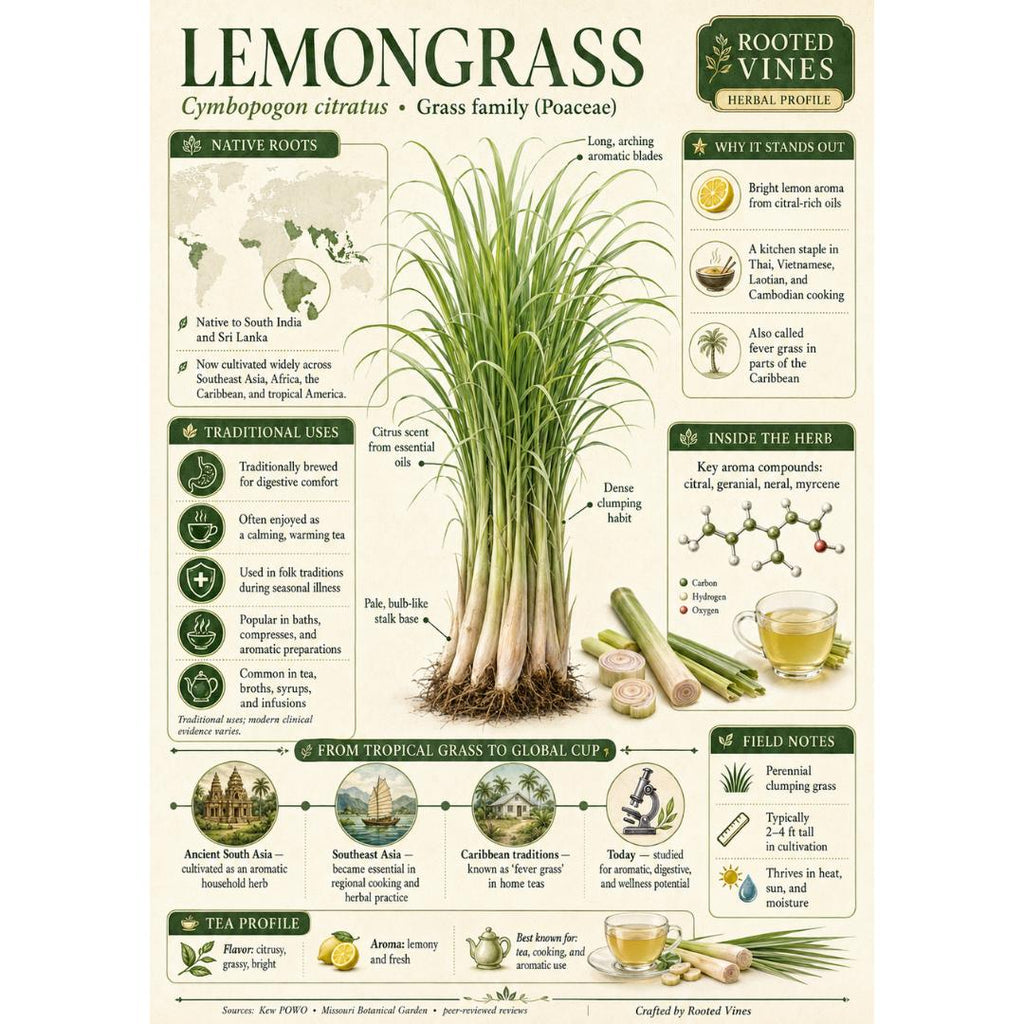 Dried Lemongrass Tea | Organic Herbal Loose Leaf | Rooted Vines