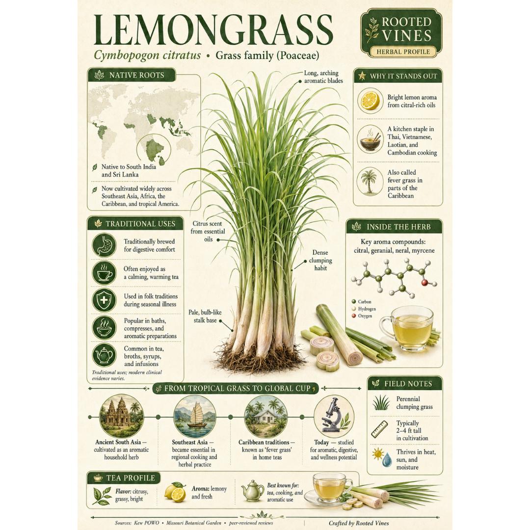 Dried Lemongrass Tea | Organic Herbal Loose Leaf | Rooted Vines