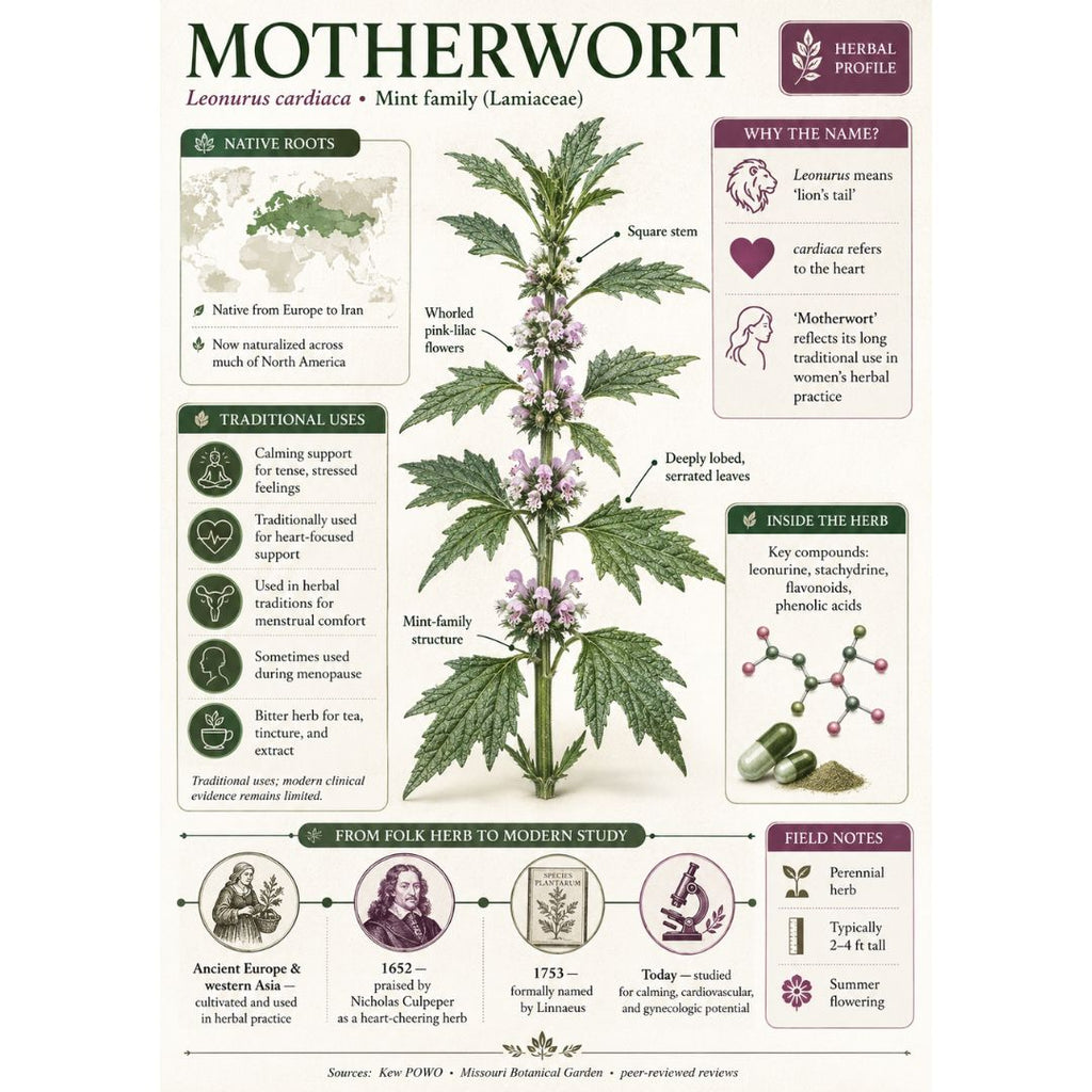 Motherwort Herb | Organic Herbal Tea | Loose Leaf Herb