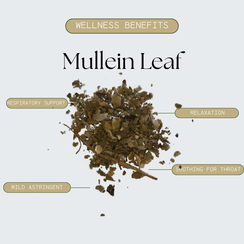 Mullein Leaf Herb