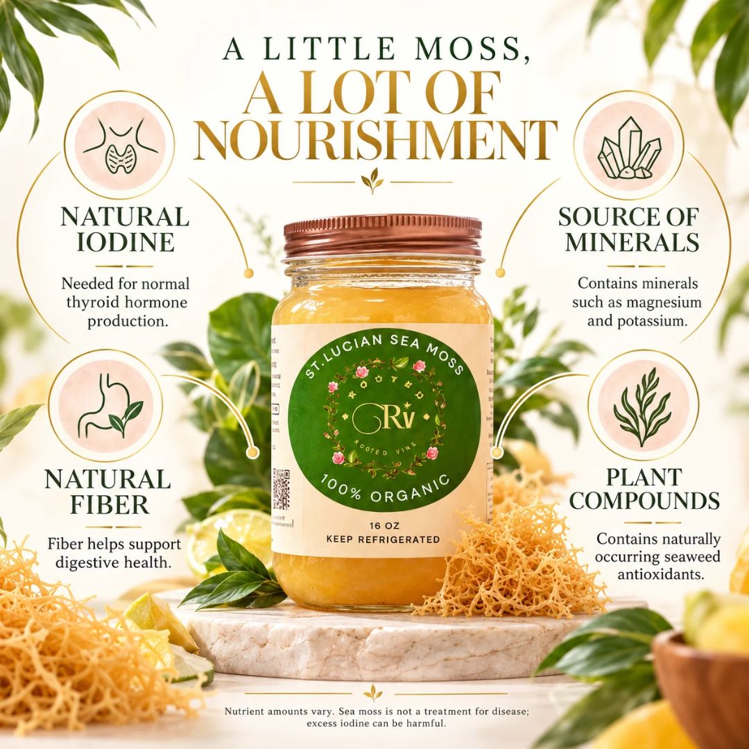 A jar of SLUCIAN SEA MOSS 100% Organic Keep Rehydrated seaweed supplement, styled on a stone slab with natural ingredients and surrounded by text callouts about its health benefits.