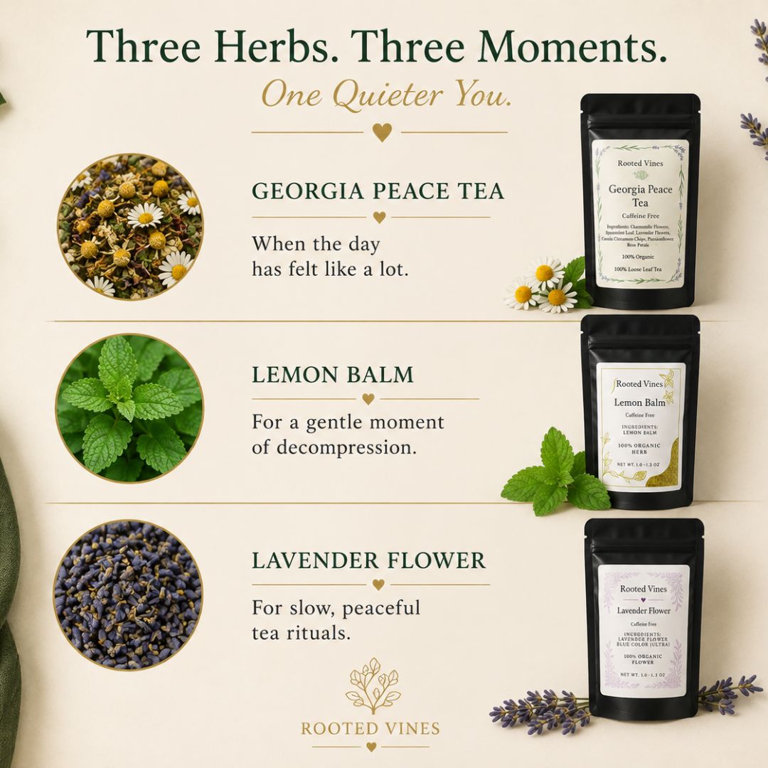 The Quiet Mind Bundle