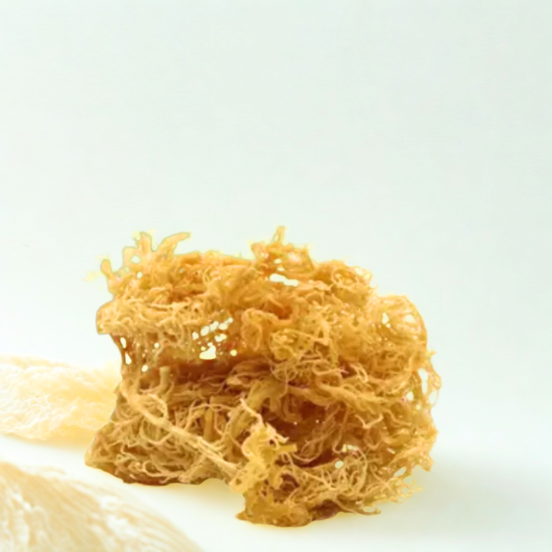 Irish Sea Moss Capsules