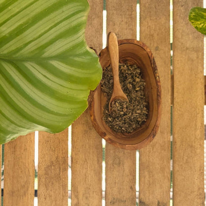 Mullein Leaf Herb (Tea)