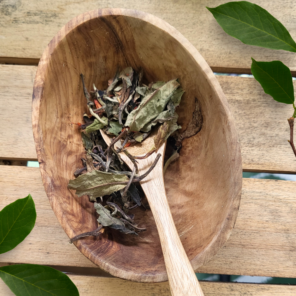 White Pomegranate Tea – Elegant White Tea Blend | Light, Floral & Luxurious (4 oz)