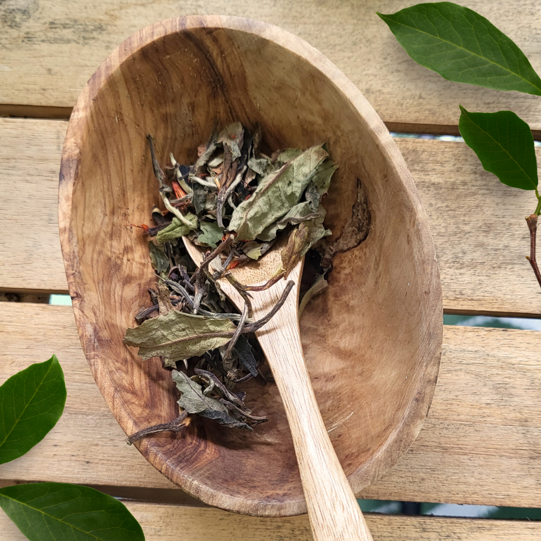 White Pomegranate Tea