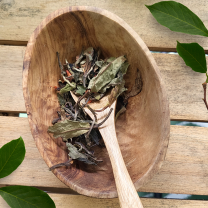 White Pomegranate Tea