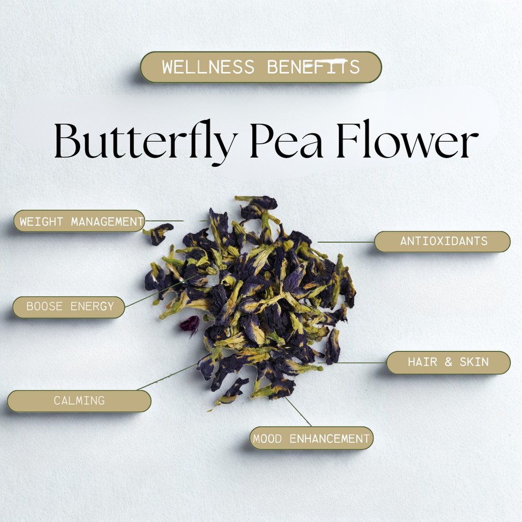 Butterfly pea flower with wellness benefits listed on a white background