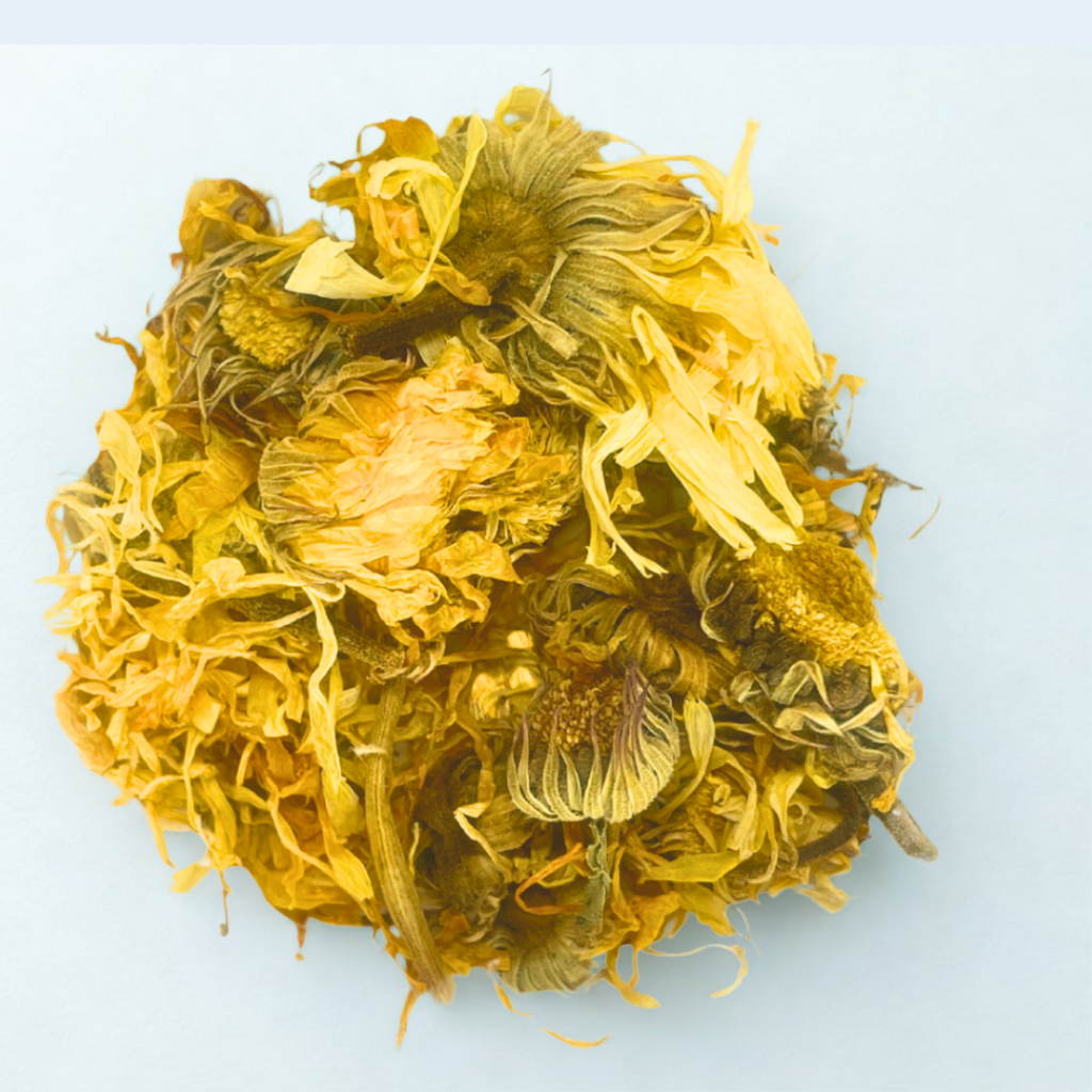 Calendula Flower