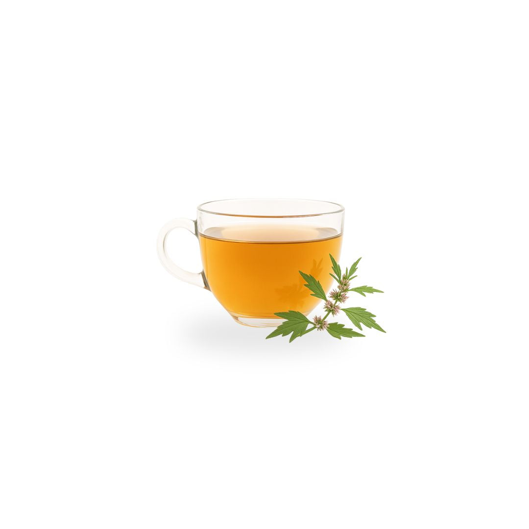 Clear glass cup of tea with a sprig of mint on a white background