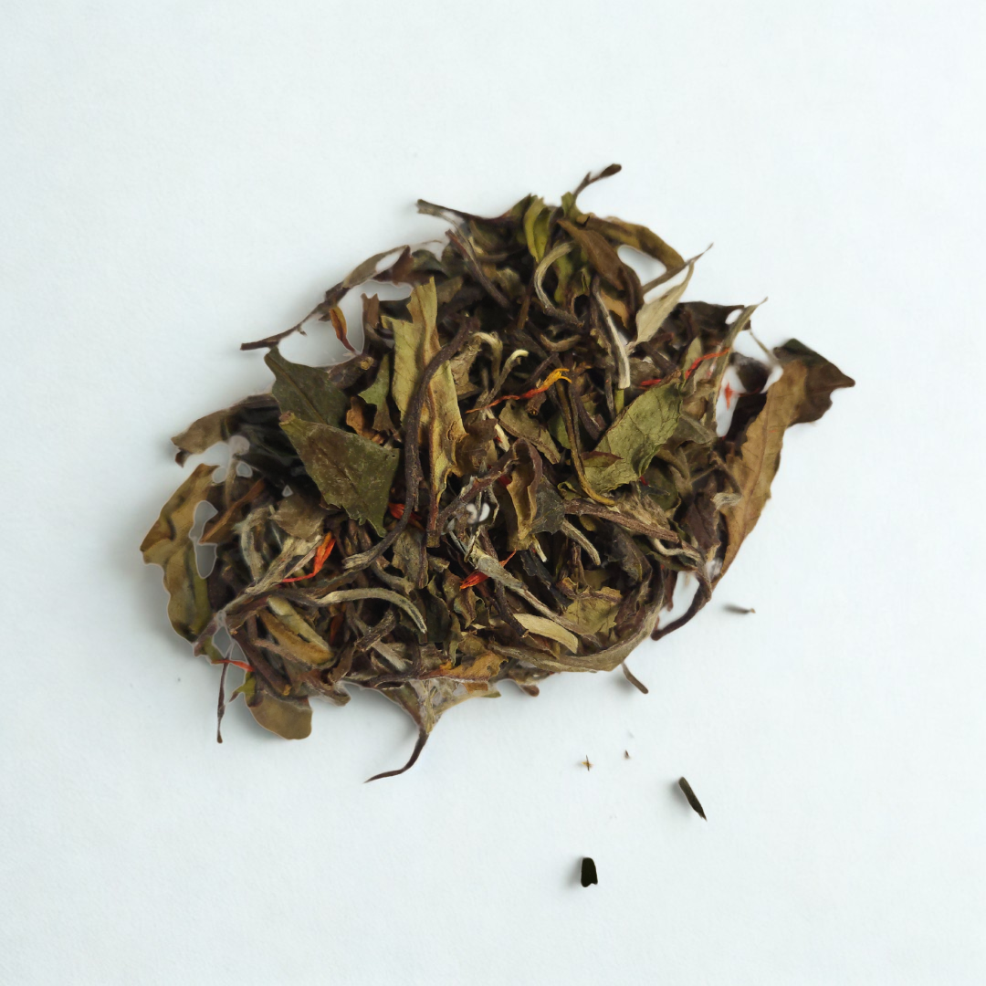 Dry tea leaves on a white background